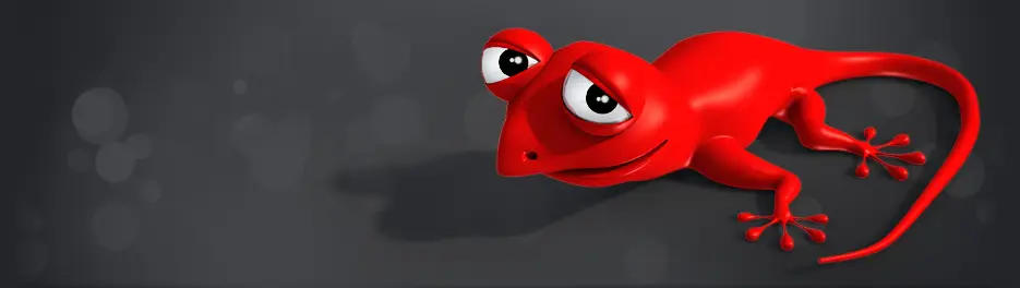 RedLizard Web Design